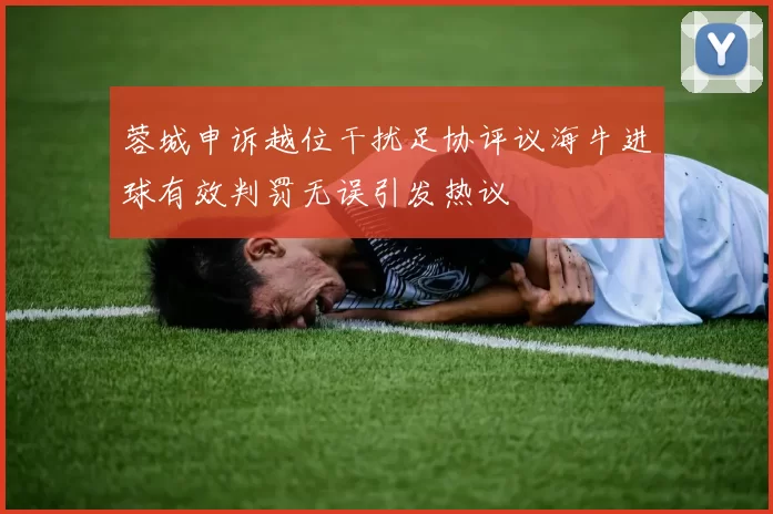 蓉城申诉越位干扰足协评议海牛进球有效判罚无误引发热议